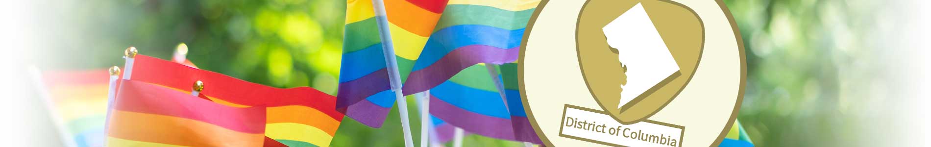 LGBTQ Cultural Competence Training approved for Washington, DC (as per a public health priorities education for nurses)