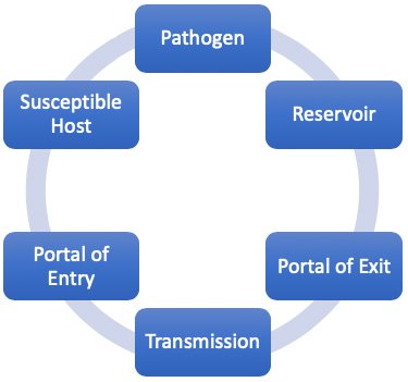 Chain of infection links in the transmission of infectious agents.