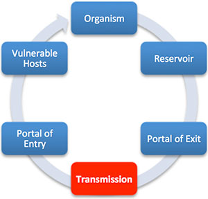 Chain of infection links in the transmission of infectious agents.